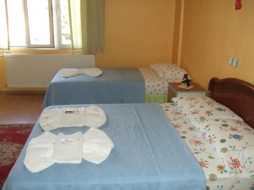 Efes Antik Hotel Selcuk